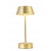 Настольная лампа Crystal Lux SANTA LG1 GOLD