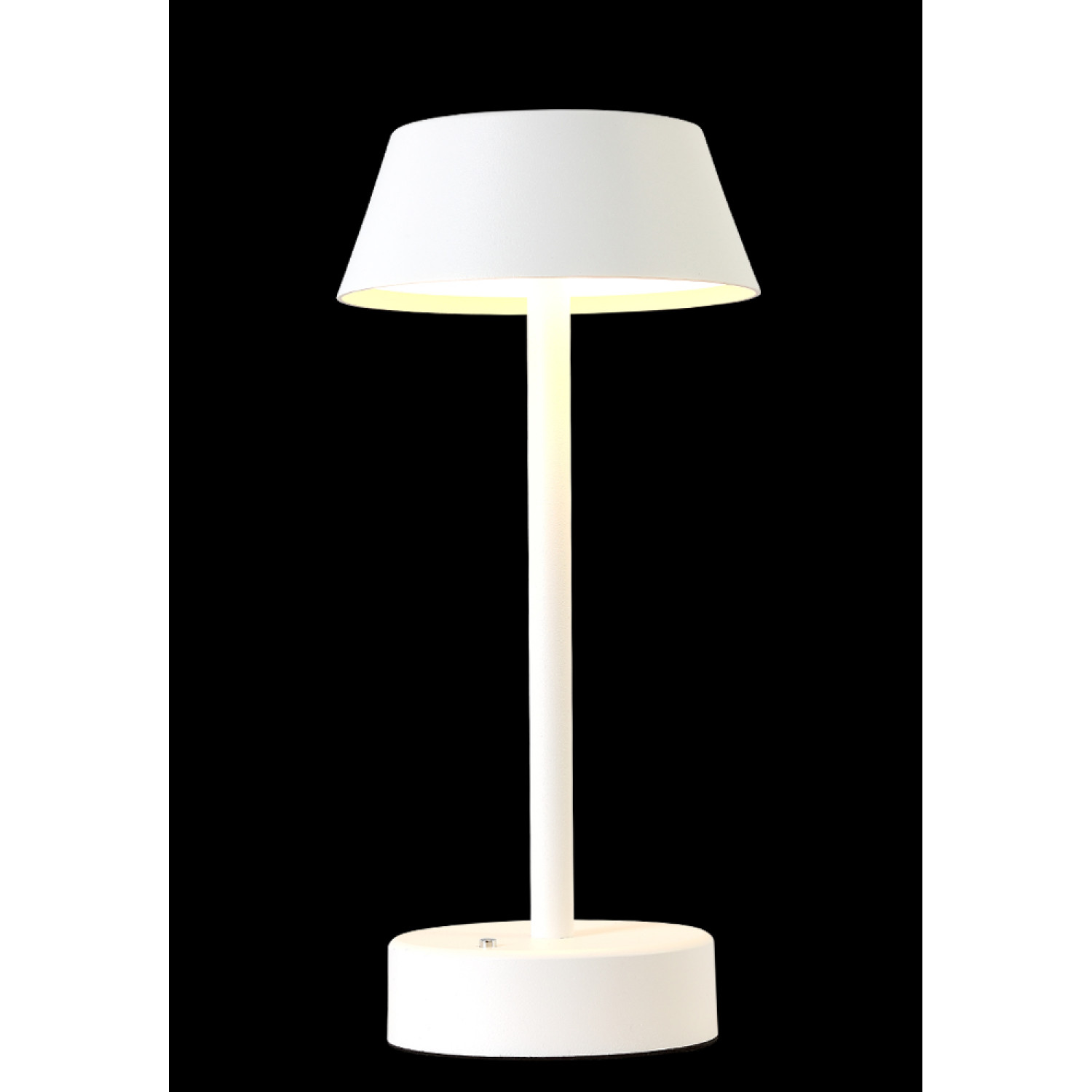Настольная лампа Crystal Lux SANTA LG1 WHITE