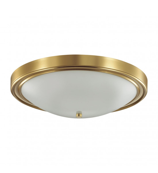 Настенно-потолочный светильник Lumion 5259/4C NINA Настенно-потолочный светильник Lumion 5259/4C NINA