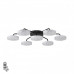 Люстра потолочная Lumion 8236/7CL DIDANA