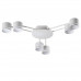 Люстра потолочная Lumion 8235/6C GARETA