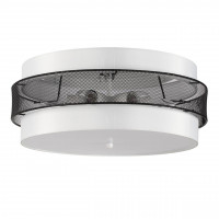 Потолочный светильник Lumion 8002/6C ANIMAISA