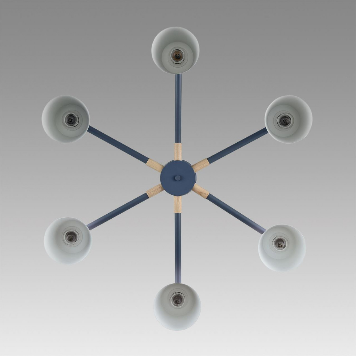 Люстра потолочная Lumion 8098/6C ROSALINA