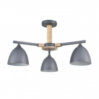 Люстра потолочная Lumion 8096/3C COLANGE