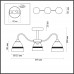 Люстра потолочная Lumion 5214/3CA NETTIE
