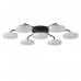Люстра потолочная Lumion 8236/7CL DIDANA