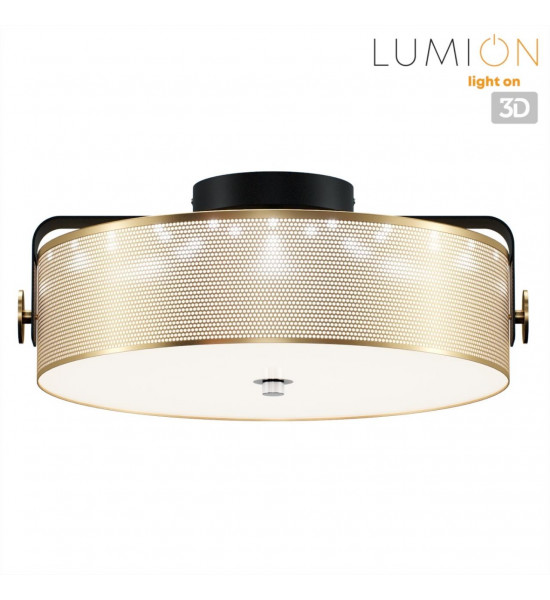 Потолочный светильник Lumion 6597/40L DRUMY