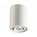 Потолочный светильник Odeon Light 3564/1C PILLARON