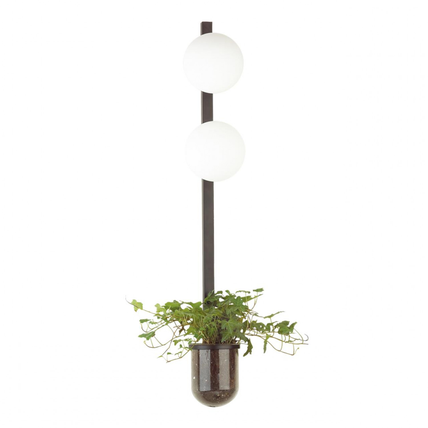 Настенный светильник Odeon Light 4681/2WA FLOWER