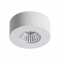 Потолочный светильник Odeon Light 4282/7CL BENE