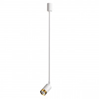Потолочный светильник Odeon Light 4350/1C AD ASTRUM