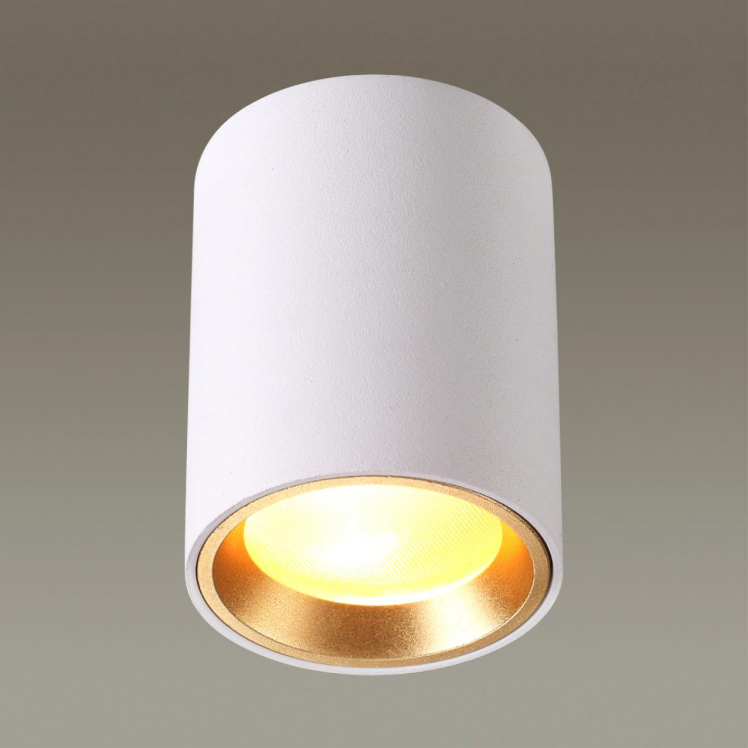 Потолочный светильник Odeon Light 4206/1C AQUANA
