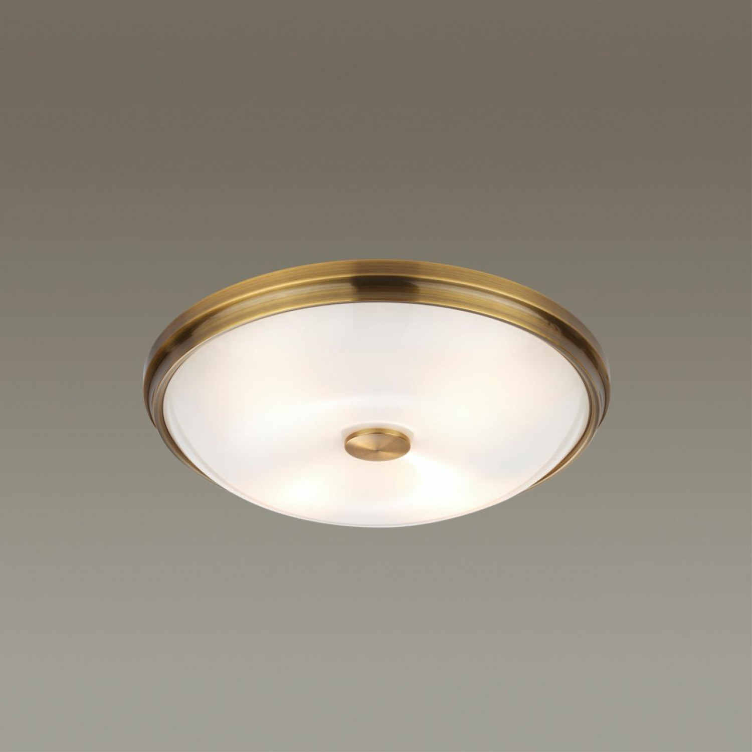 Настенно-потолочный светильник Odeon Light 4956/4 PELOW