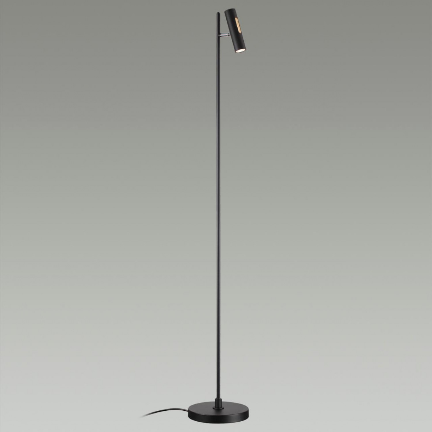 Напольный светильник Odeon Light 6643/5FL MALI