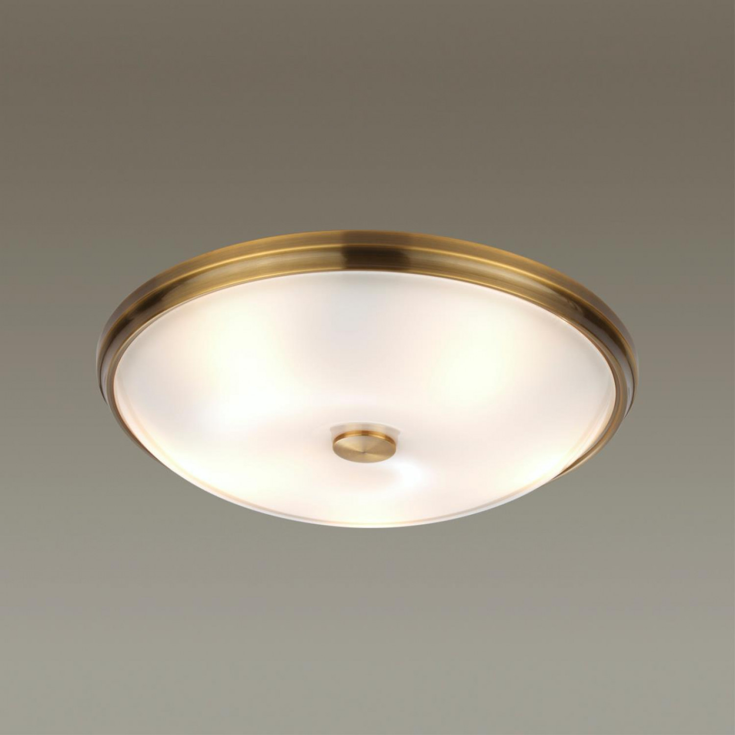 Настенно-потолочный светильник Odeon Light 4956/5 PELOW
