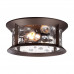 Уличный потолочный светильник Odeon Light 4961/2C MAVRET