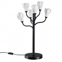 Настольная лампа Odeon Light 5090/6T GARDI