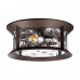 Уличный потолочный светильник Odeon Light 4961/2C MAVRET