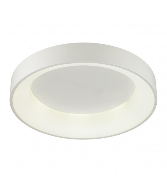 Светильник потолочный Odeon Light 4066/40CL SOLE