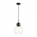 Подвес Odeon Light 5021/1 Blacky