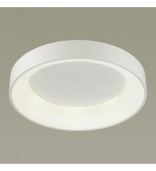 Светильник потолочный Odeon Light 4066/40CL SOLE