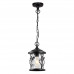 Уличный подвес Odeon Light 4963/1 CUITA