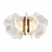Бра Odeon Light 5089/25WL SIAMA