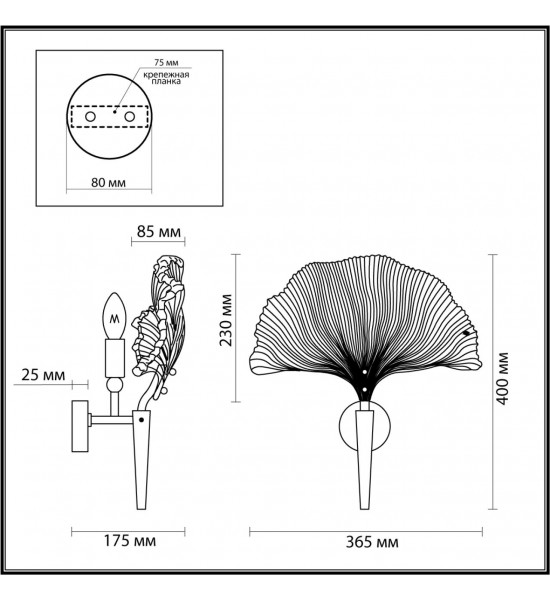 Настенный светильник Odeon Light 4870/1W VENTAGLIO