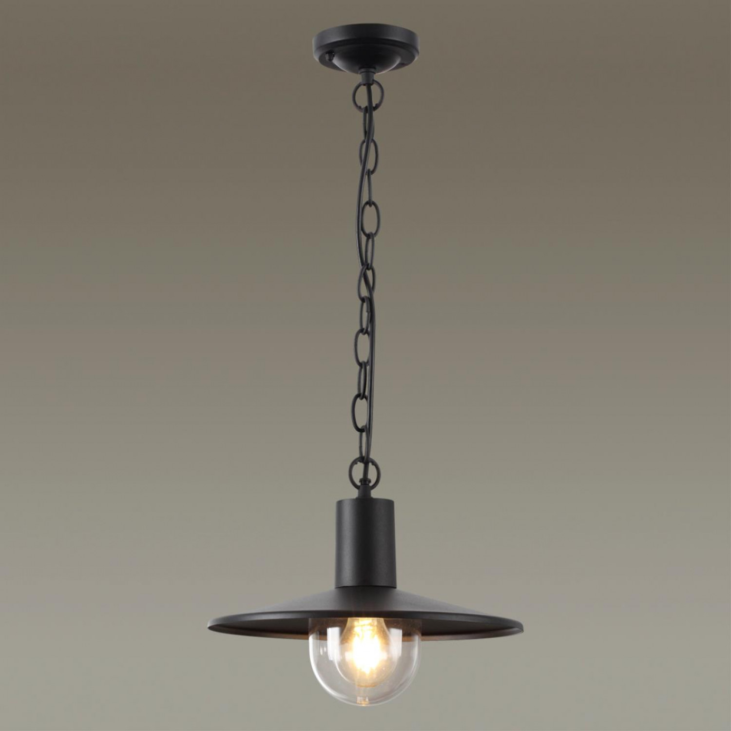 Уличный светильник-подвес Odeon Light 4833/1 FURCADIA