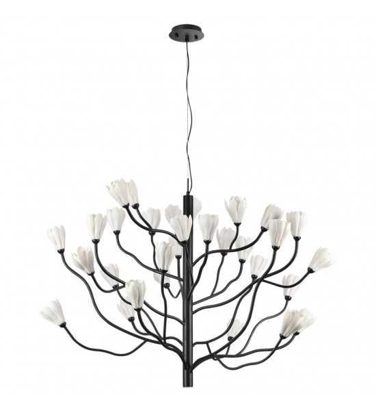 Люстра Odeon Light 5090/30 GARDI