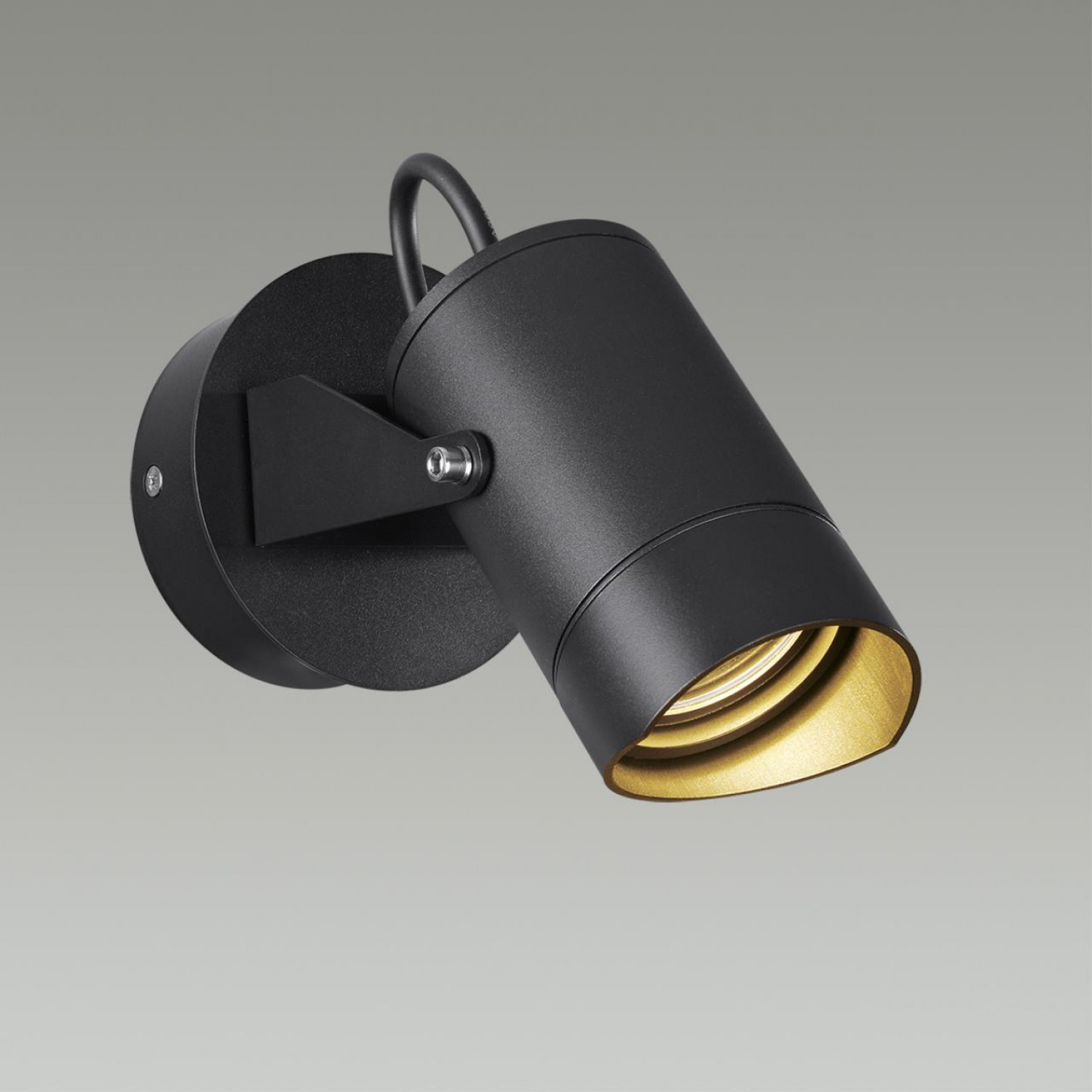 Уличный светильник Odeon Light 6647/10GL3 STIMA