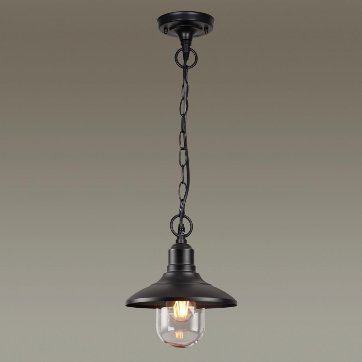 Уличный подвес Odeon Light 4965/1 CAMPA