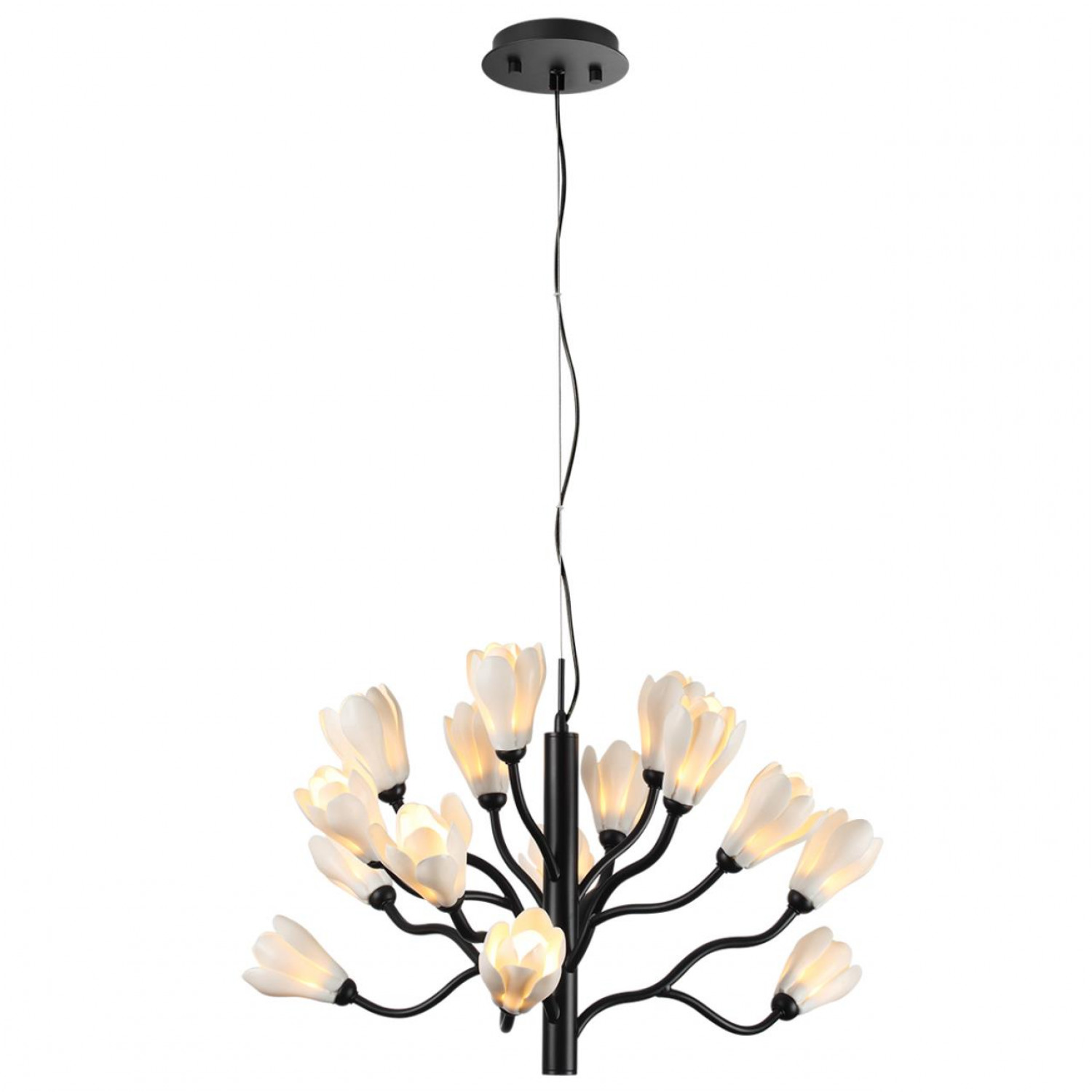 Люстра Odeon Light 5090/15 GARDI