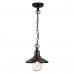 Уличный подвес Odeon Light 4965/1 CAMPA