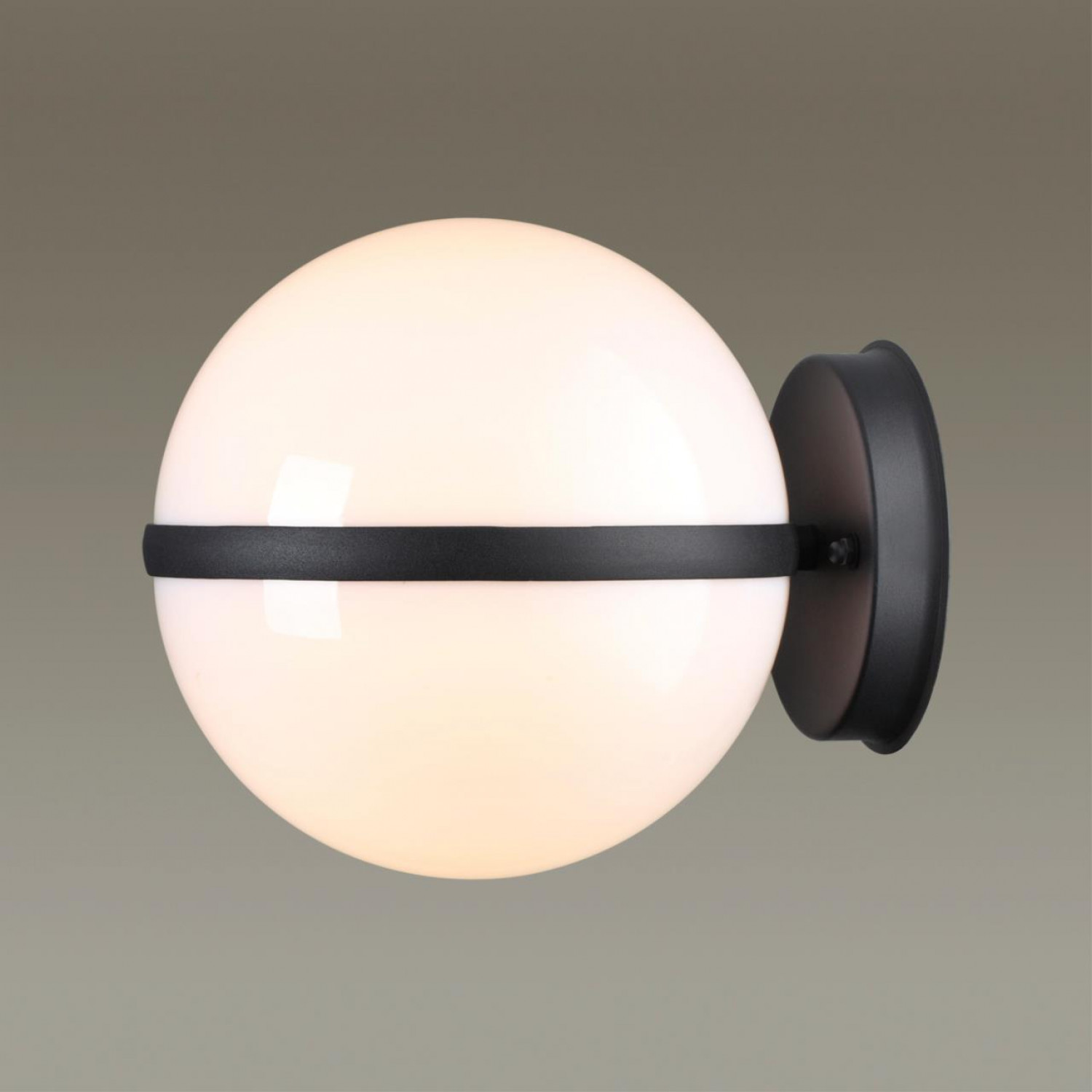 Уличный настенный светильник Odeon Light 4832/1W LOMEO