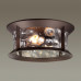 Уличный потолочный светильник Odeon Light 4961/2C MAVRET