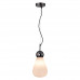 Подвес Odeon Light 5418/1 Elica