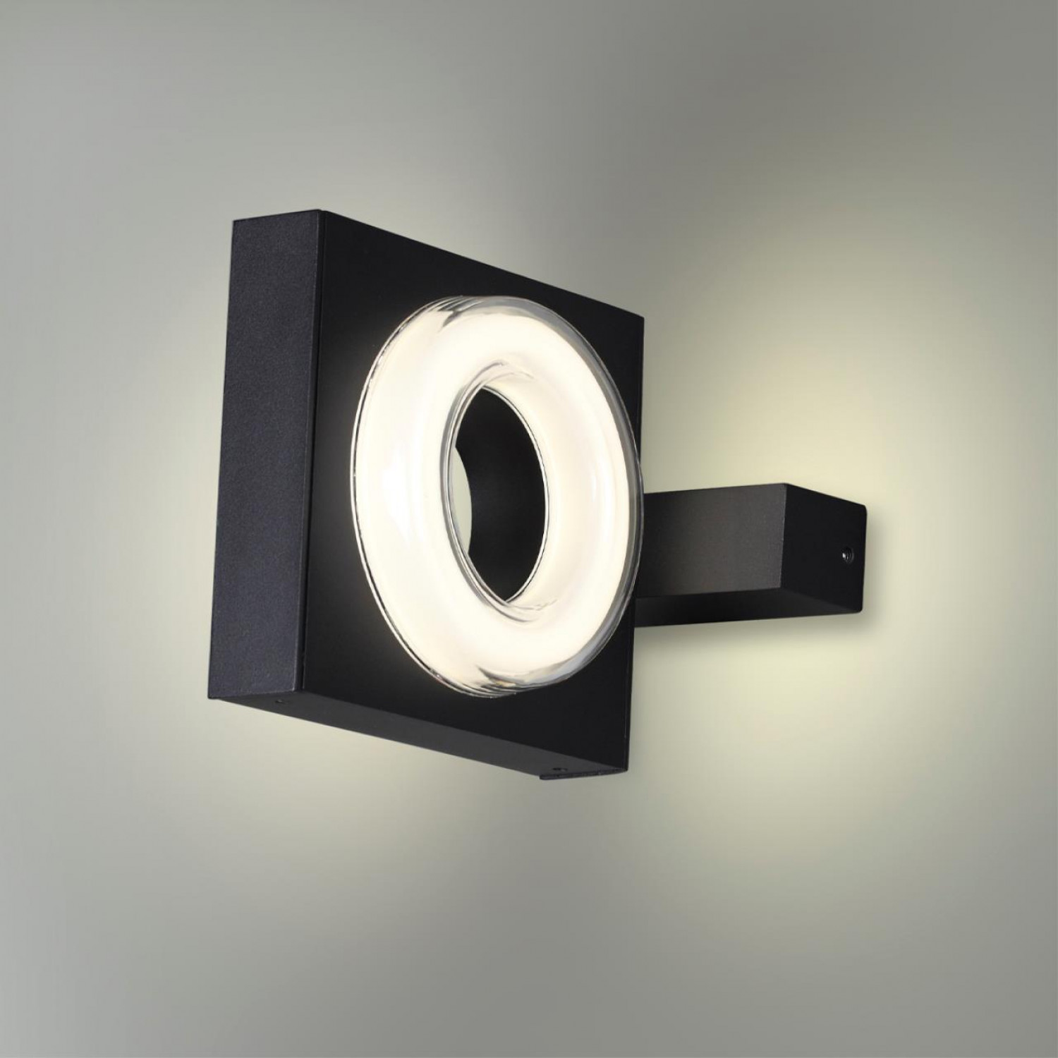 Уличный настенный светильник Odeon Light 6654/5WL VART