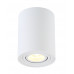 Светильник потолочный Crystal Lux CLT 410C1 WH