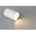 Светильник потолочный Crystal Lux CLT 084C WH