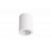 Светильник потолочный Crystal Lux CLT 422C WH