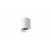 Светильник потолочный Crystal Lux CLT 075C WH