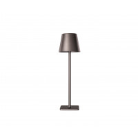 Настольная лампа Kink Light 07203-T,19 Никки