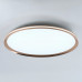 Потолочный светильник LED4U L3020-600 GD