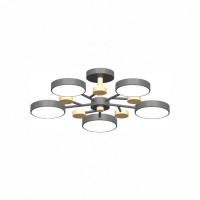 Потолочный светильник LED4U L3204-620 GR