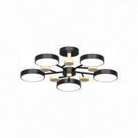 Потолочный светильник LED4U L3204-620 BK