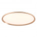 Потолочный светильник LED4U L3020-600 GD