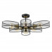 Светильник потолочный Lumion 8153/6C VIVANA