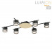 Светильник потолочный Lumion 8304/6C BENUA