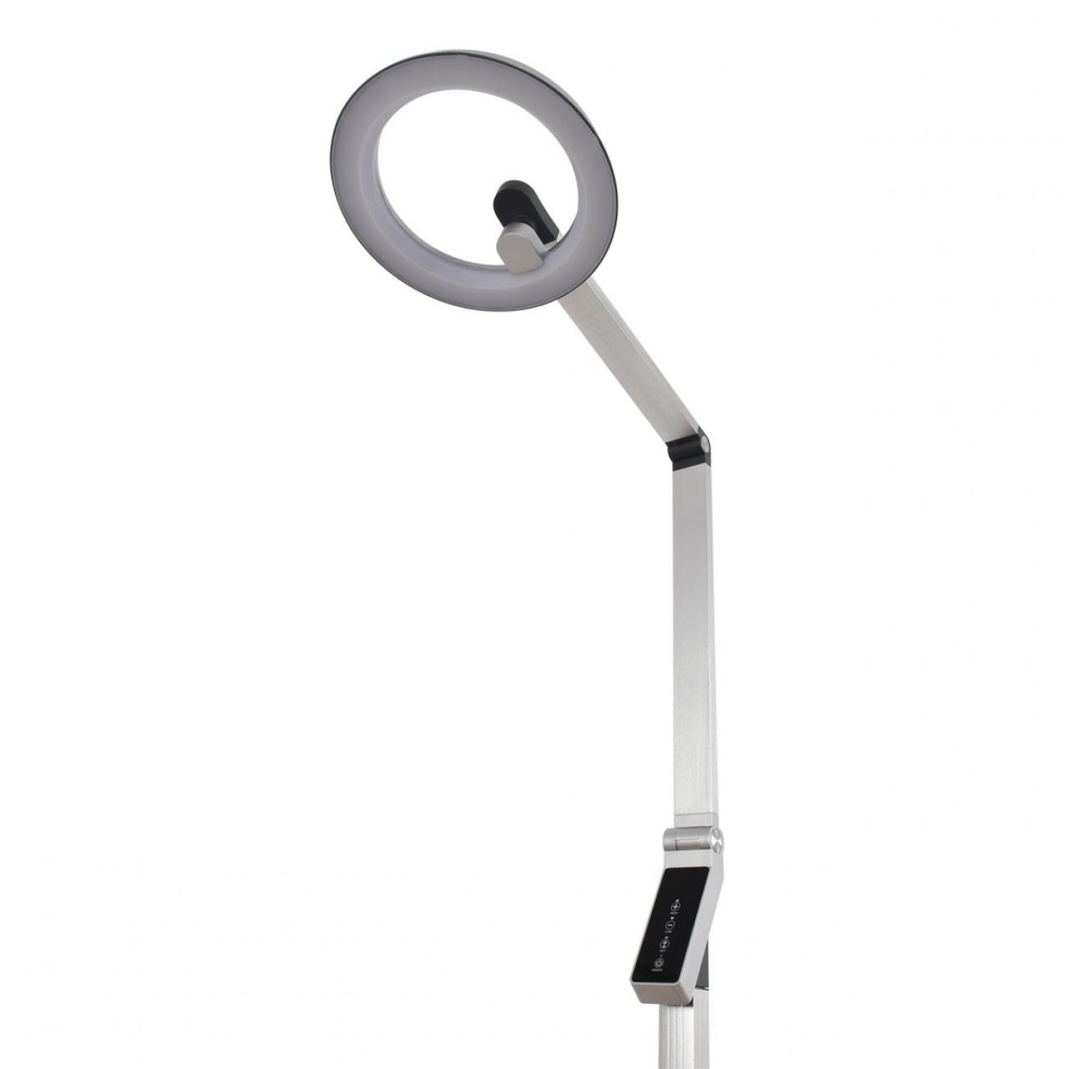 Торшер Lumion 8333/15FL GENRI
